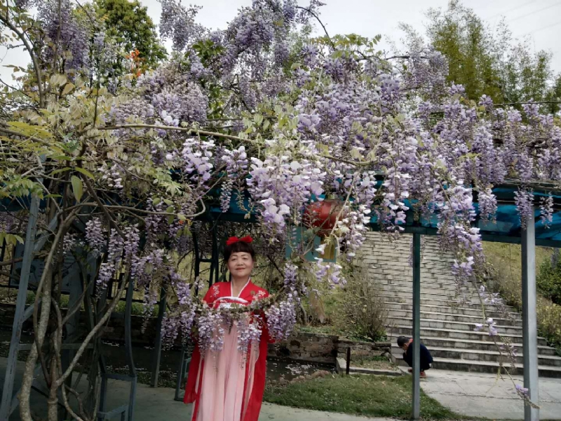 莉莉的第一张照片--武平征婚网