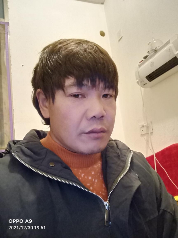 小鸟找窝的第一张照片--武平征婚网