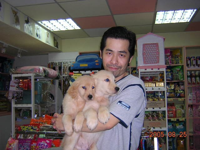 陈道明的第六张照片--武平征婚网