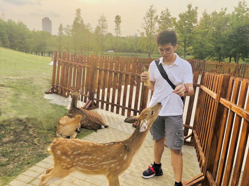 米兰的小铁匠的第一张照片--武平征婚网