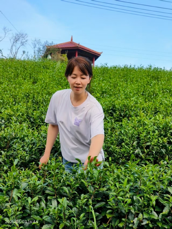 Q绮芳的第一张照片--武平征婚网